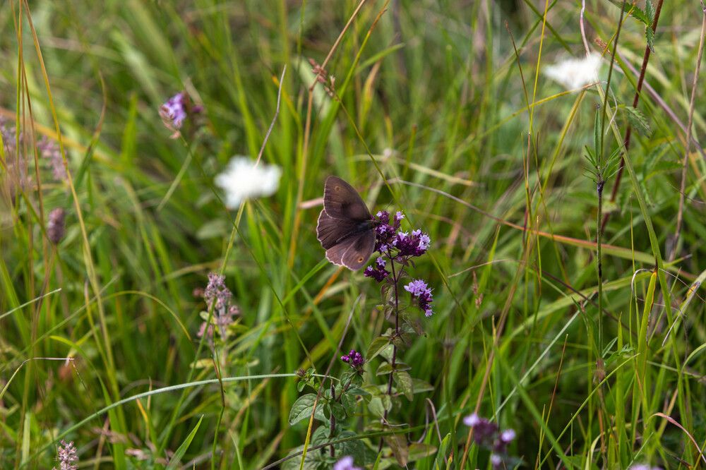 Photograph by Виталий Са