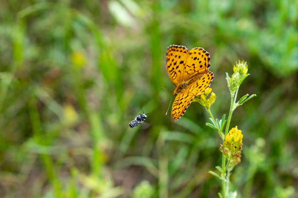 Photograph by Владимир Рогулькин