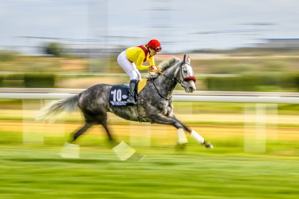 Photograph by Francisco José López Fernández