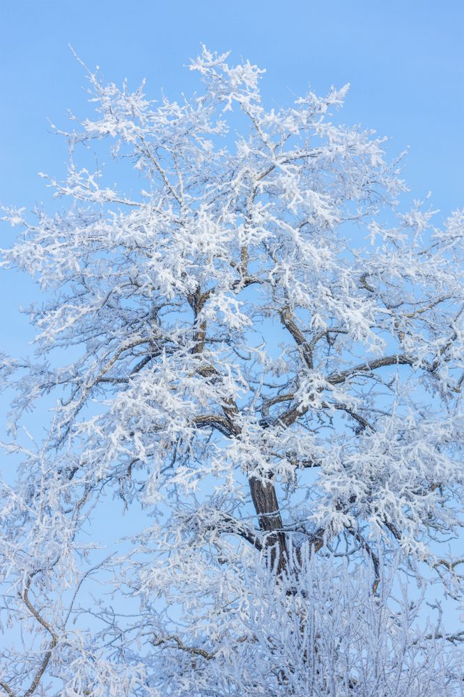 Photograph by Виталий Хромычев