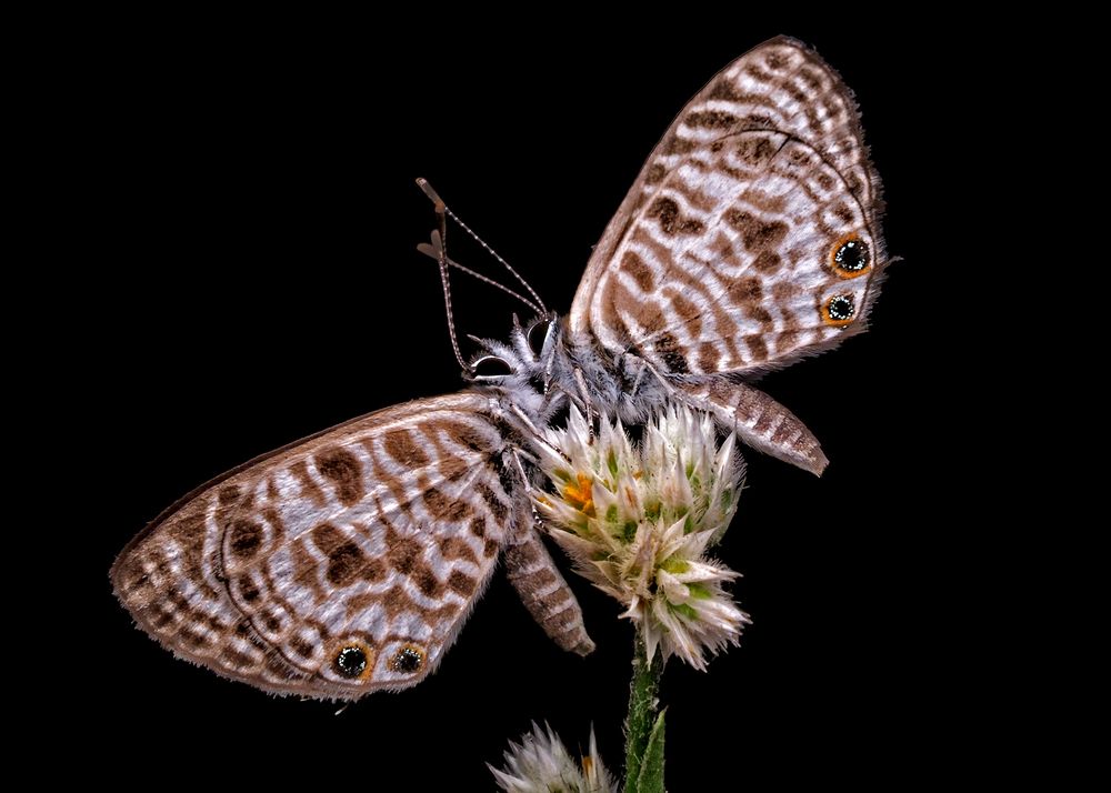 A Moment of Connection