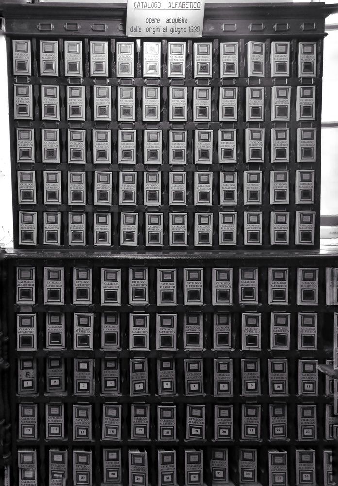 Photograph by Barbara Pindo