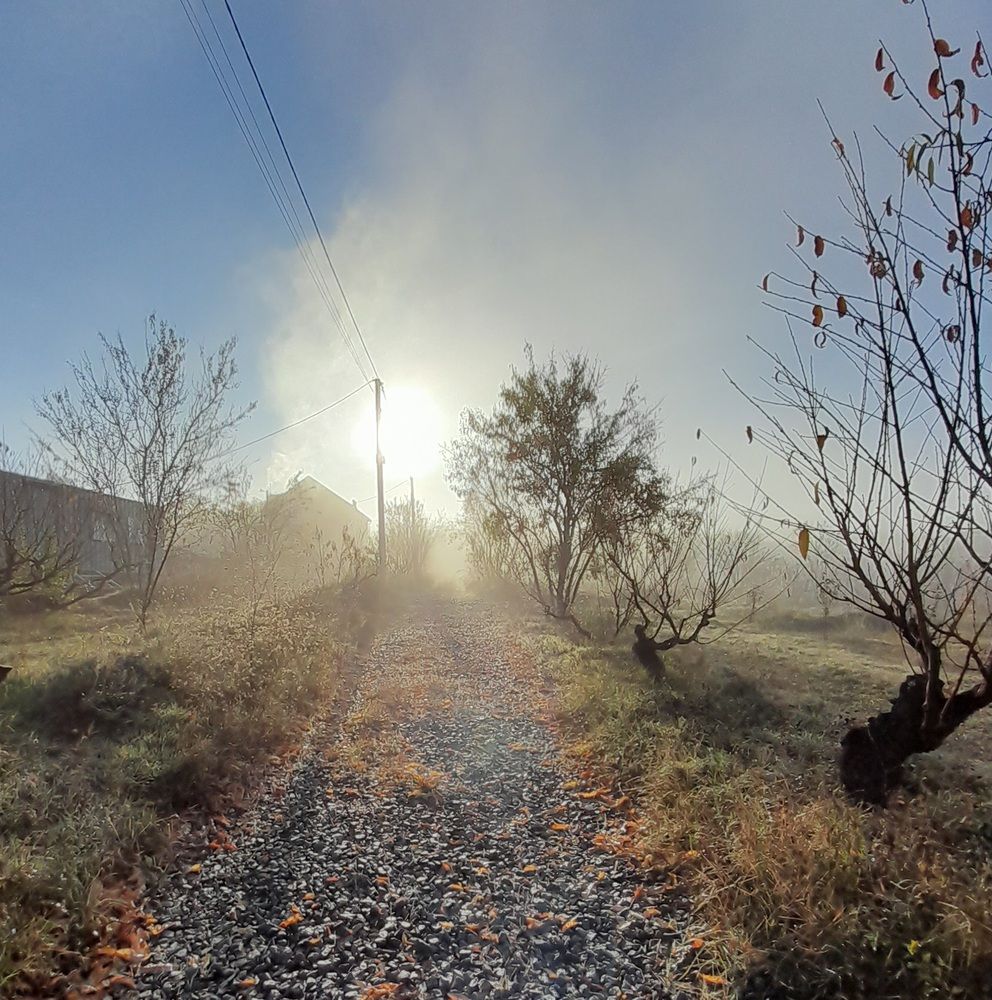 Photograph by Татьяна Ситникова