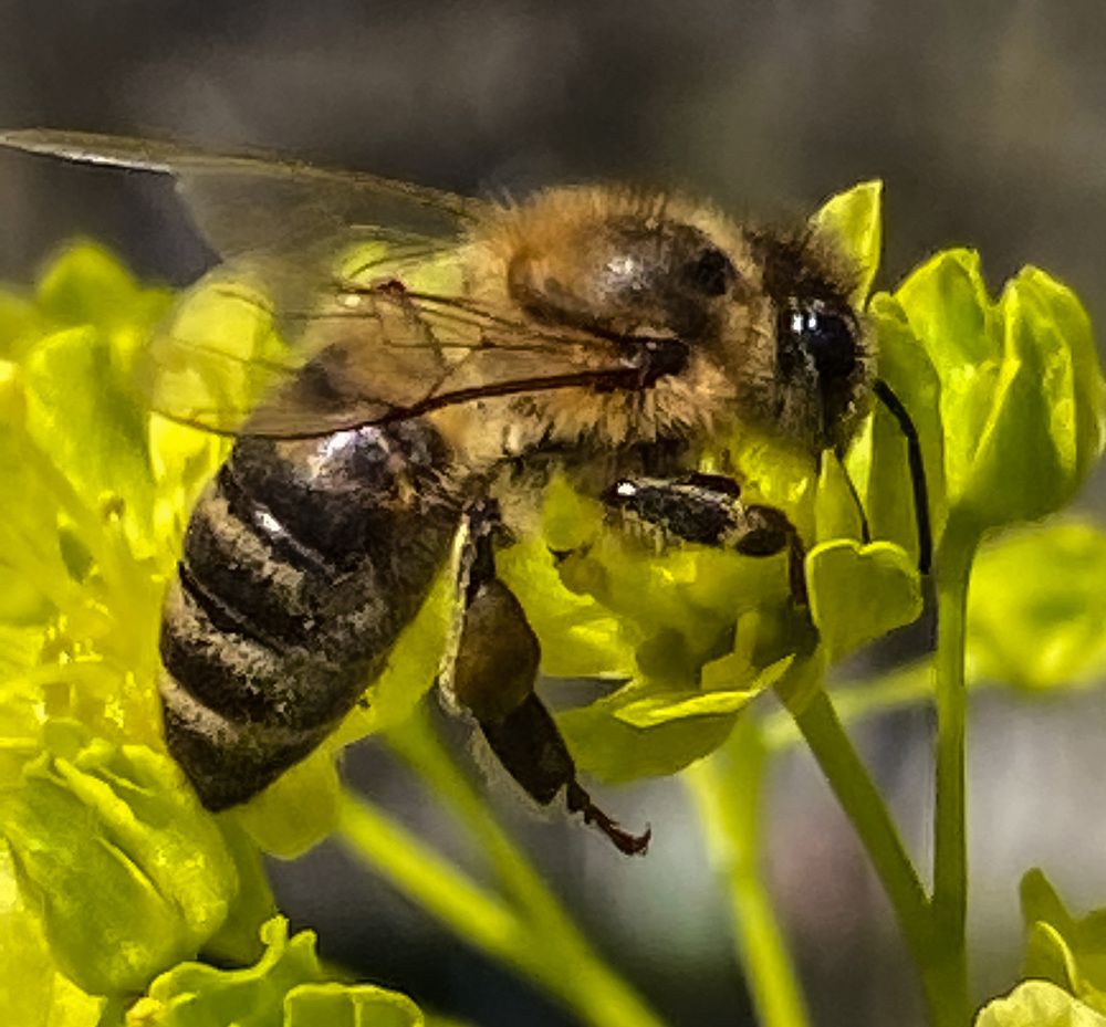 Photograph by Ольга Скиба