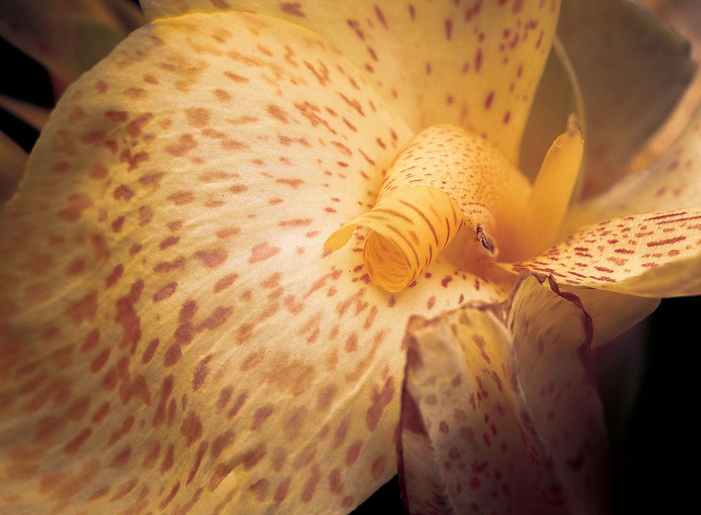 Фотография автора Кулешов Сергей