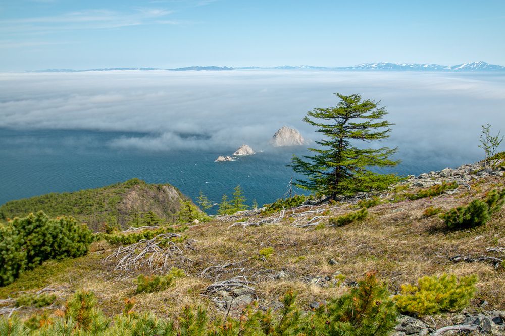 Photograph by Александр Дёмин