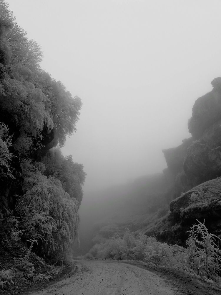 Photo #11896691