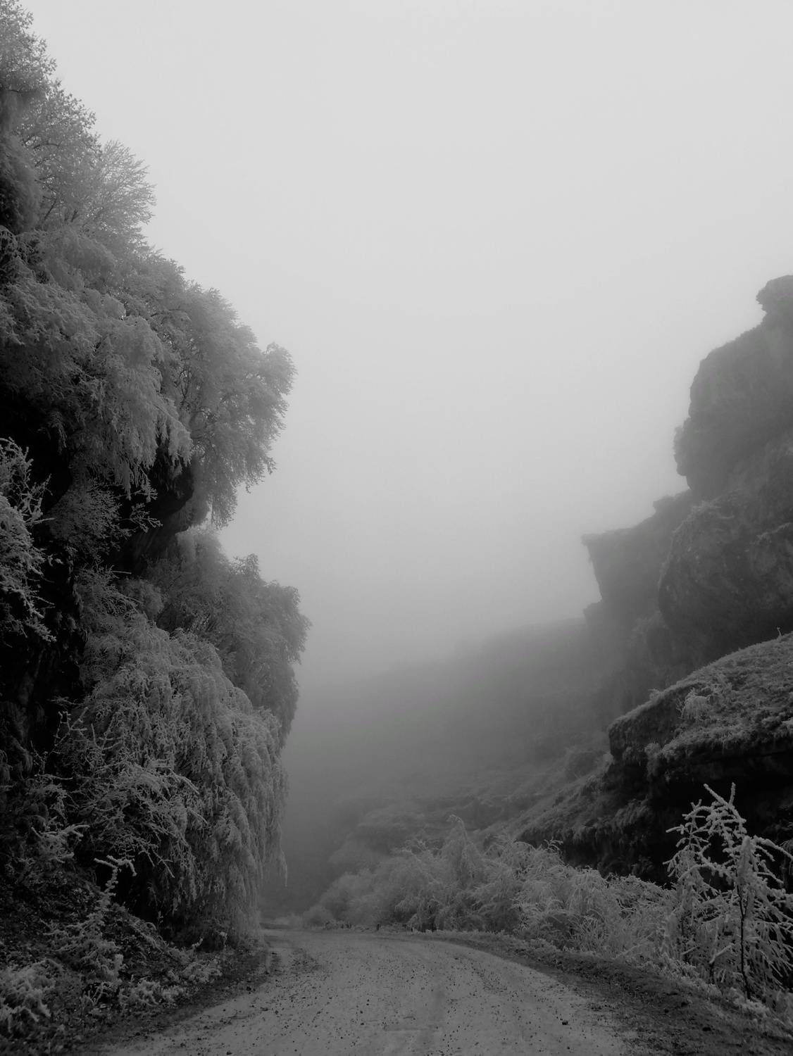 Photo #11896691