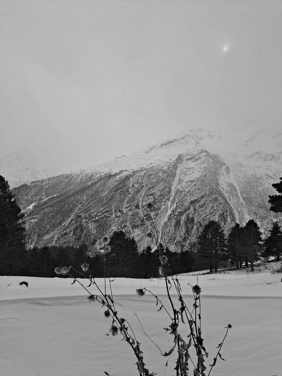 Photo #11896712