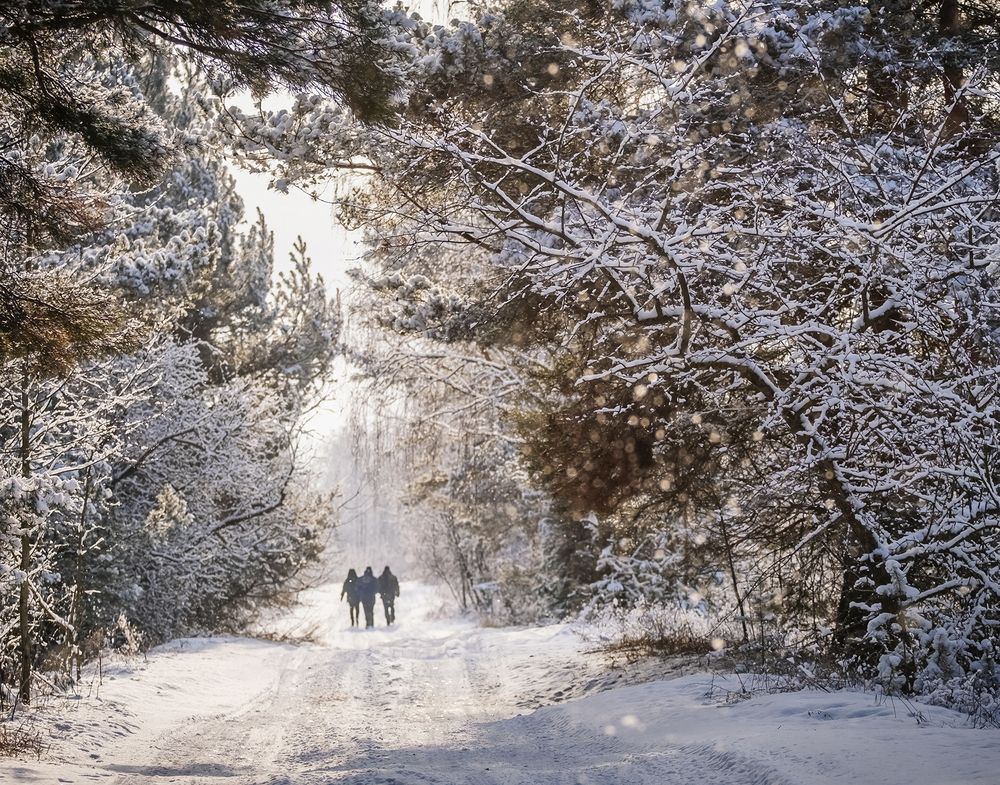 Photograph by Елена Ворошина