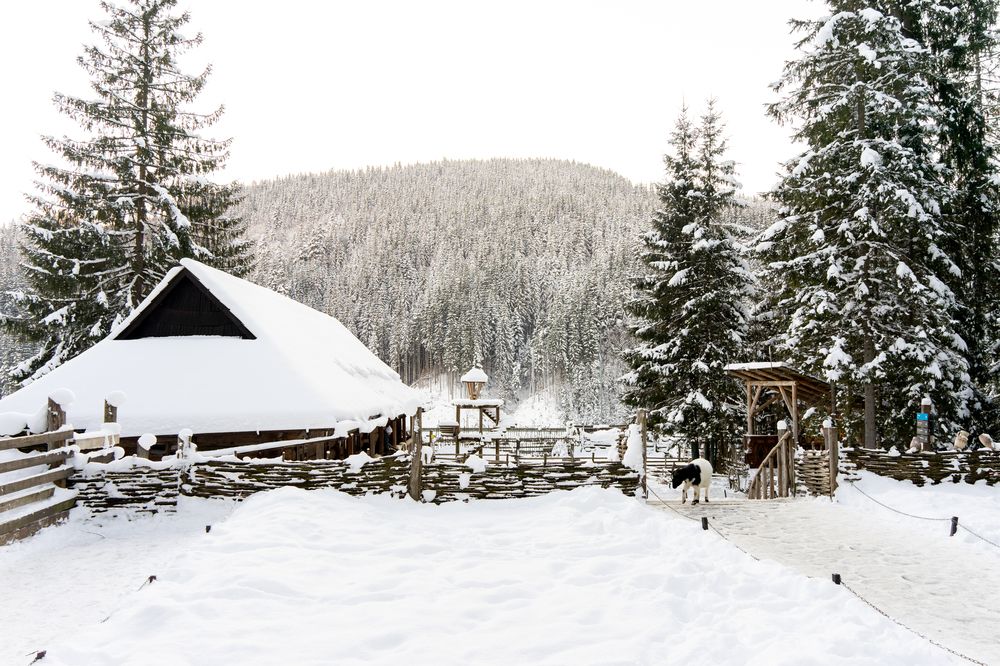 Photograph by Наталья Parovyshnyk