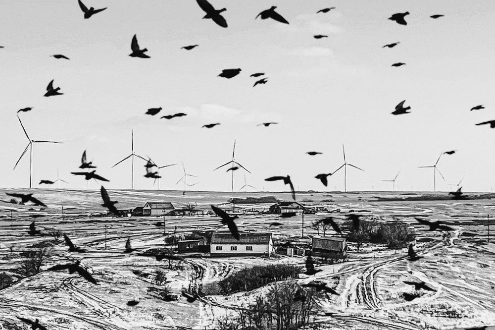 Photograph by Юлия Честнова