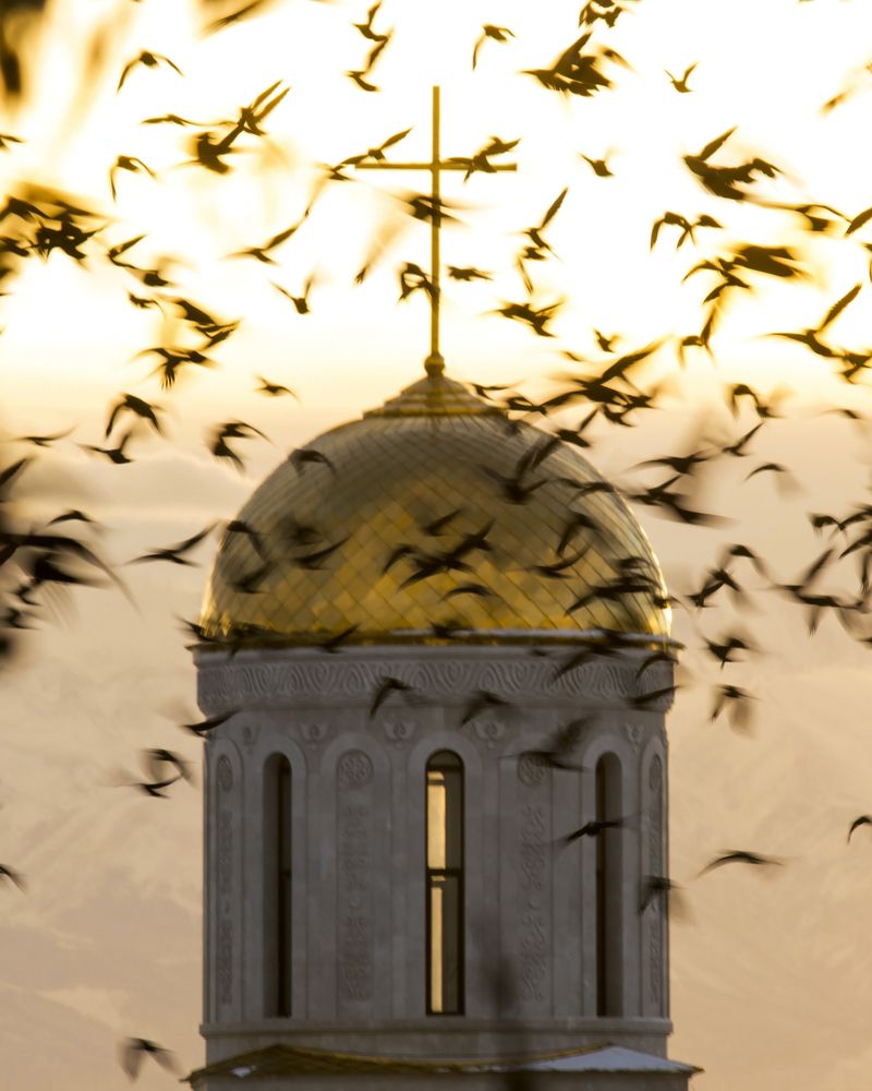 Photograph by Давид Дагуев