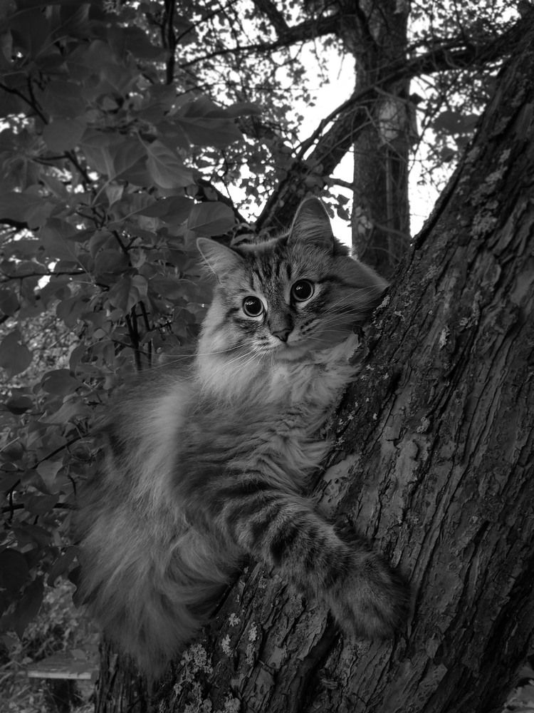 Photograph by Марина