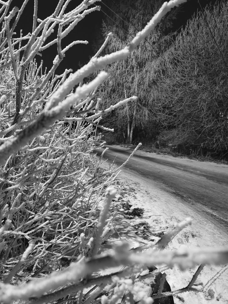 Photograph by Екатерина