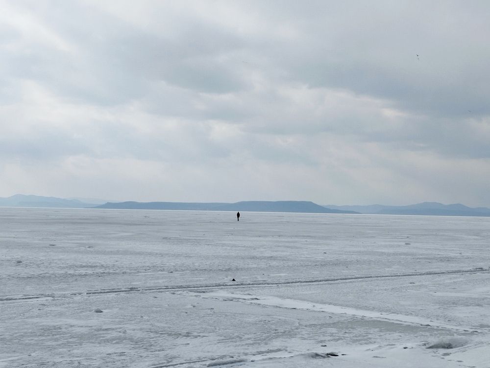 Photograph by Пальшенцева Анна