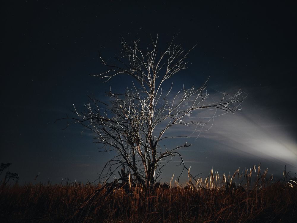 Photograph by Сергей Данилов