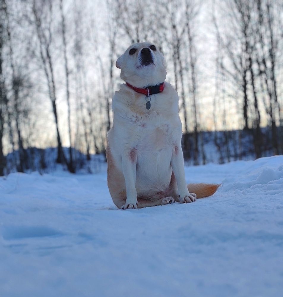 Photograph by Екатерина