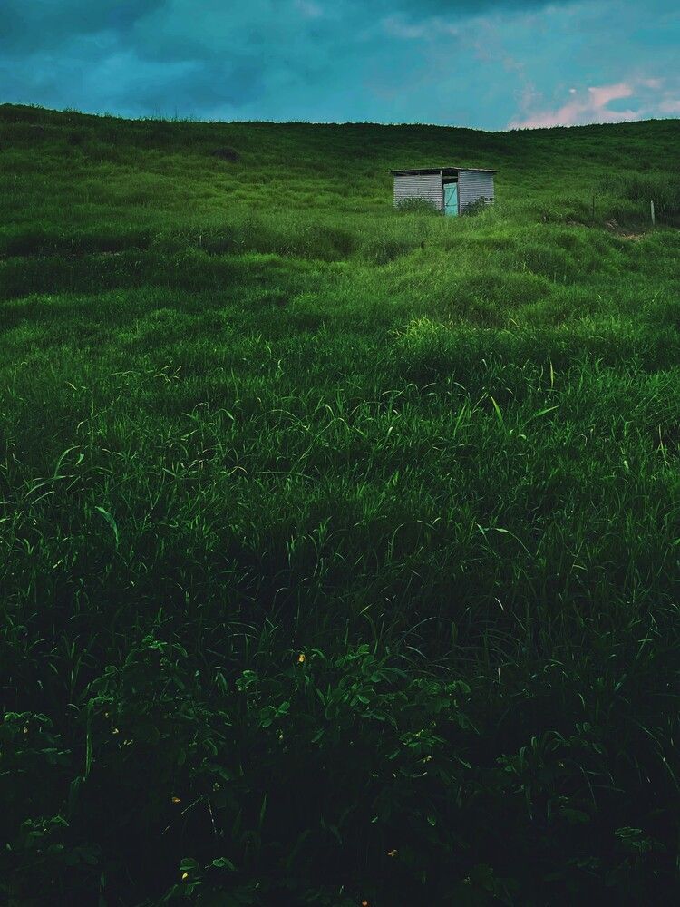 A cabin in the grasslands