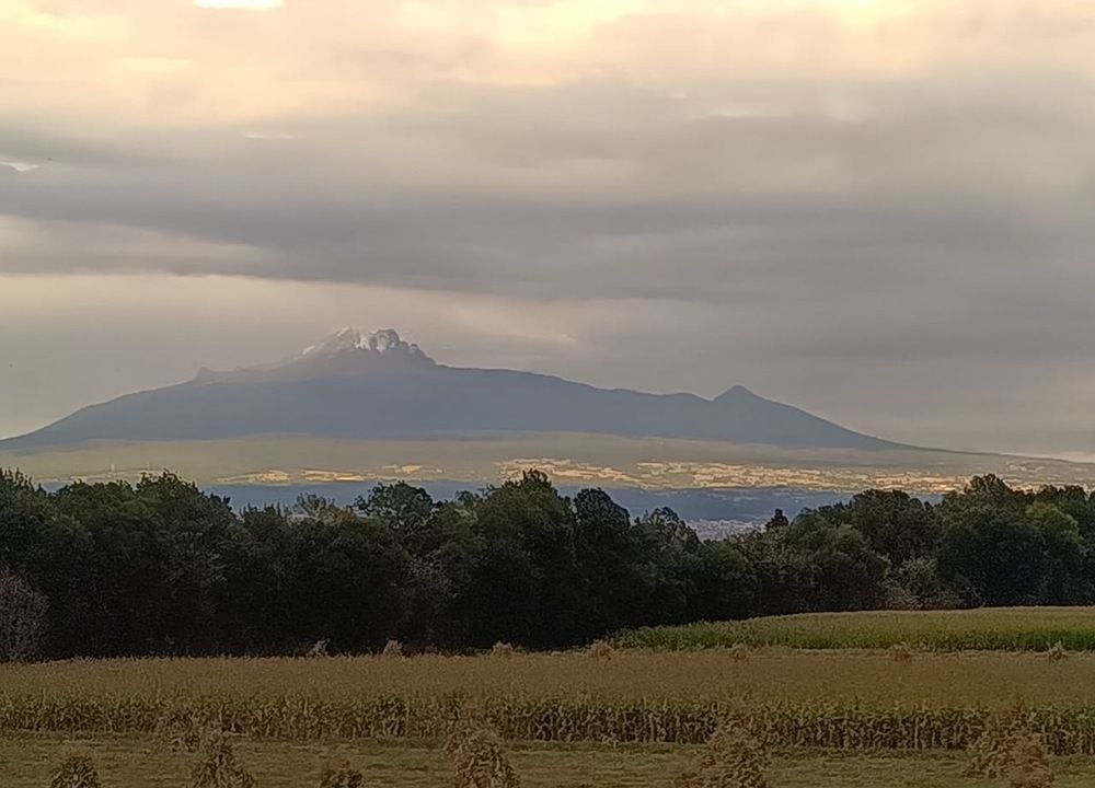 LA MALINCHE