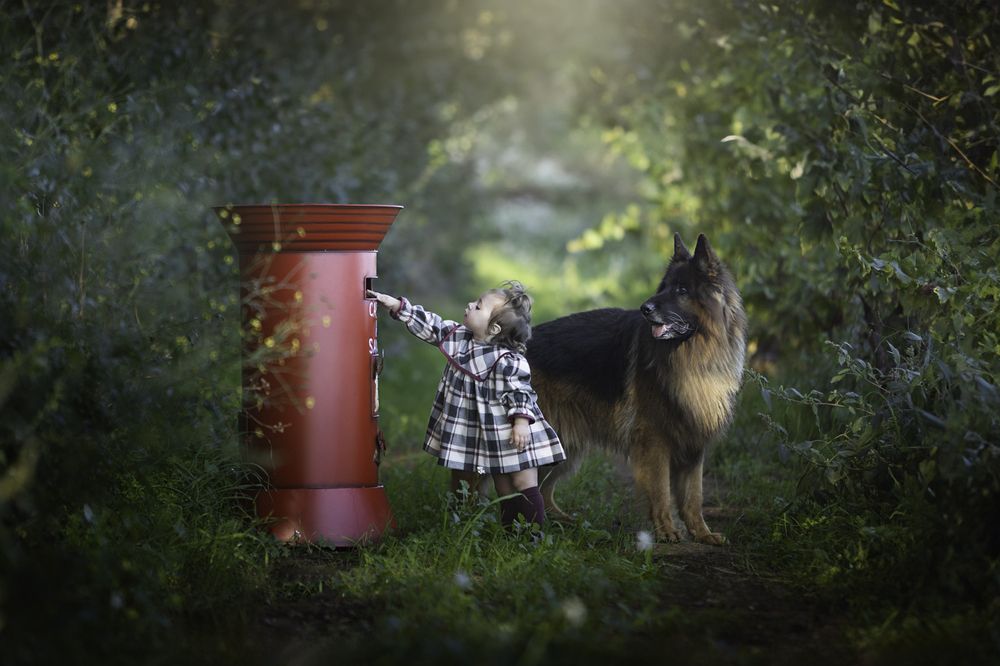 Christmas - A letter full of wishes