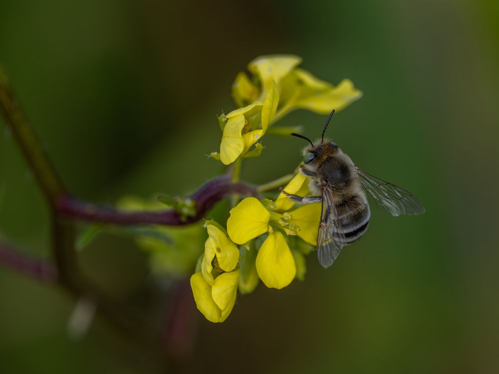 Photograph by Photons Reflectitur