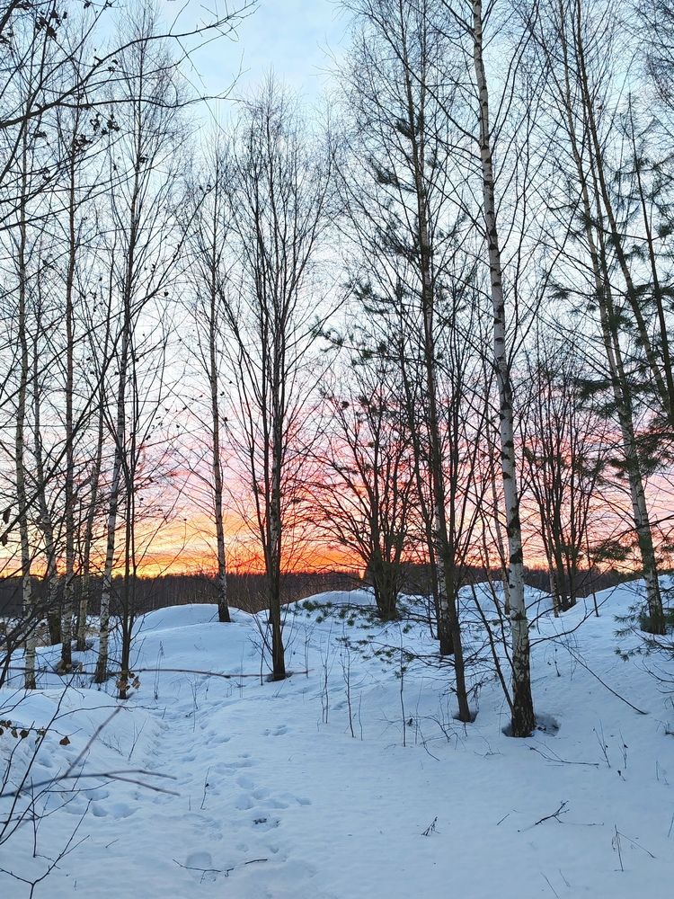 Photograph by Екатерина