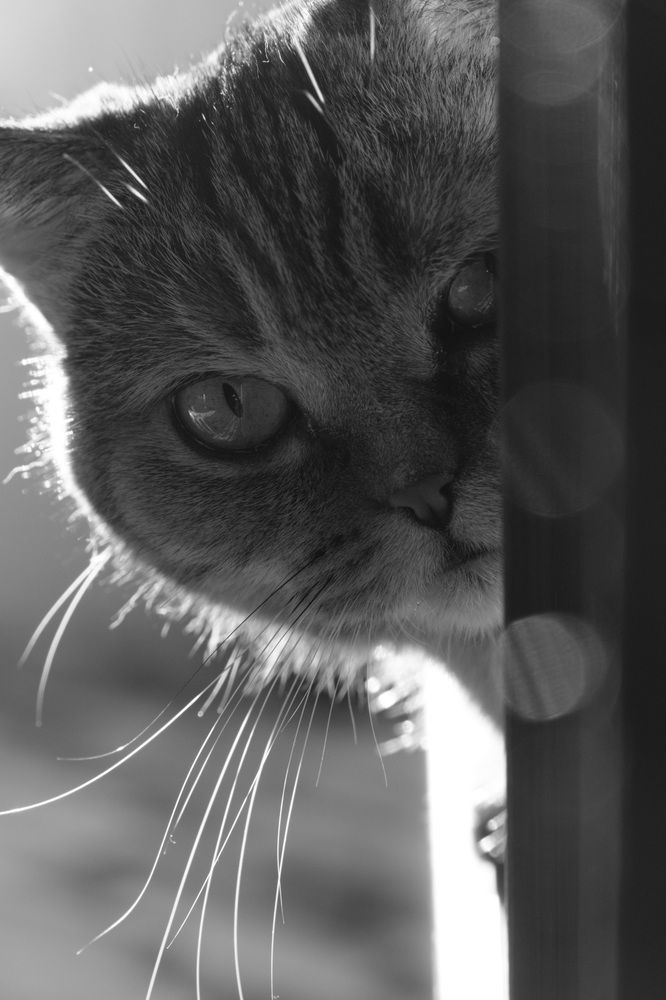 Photograph by Яна Истоцкая