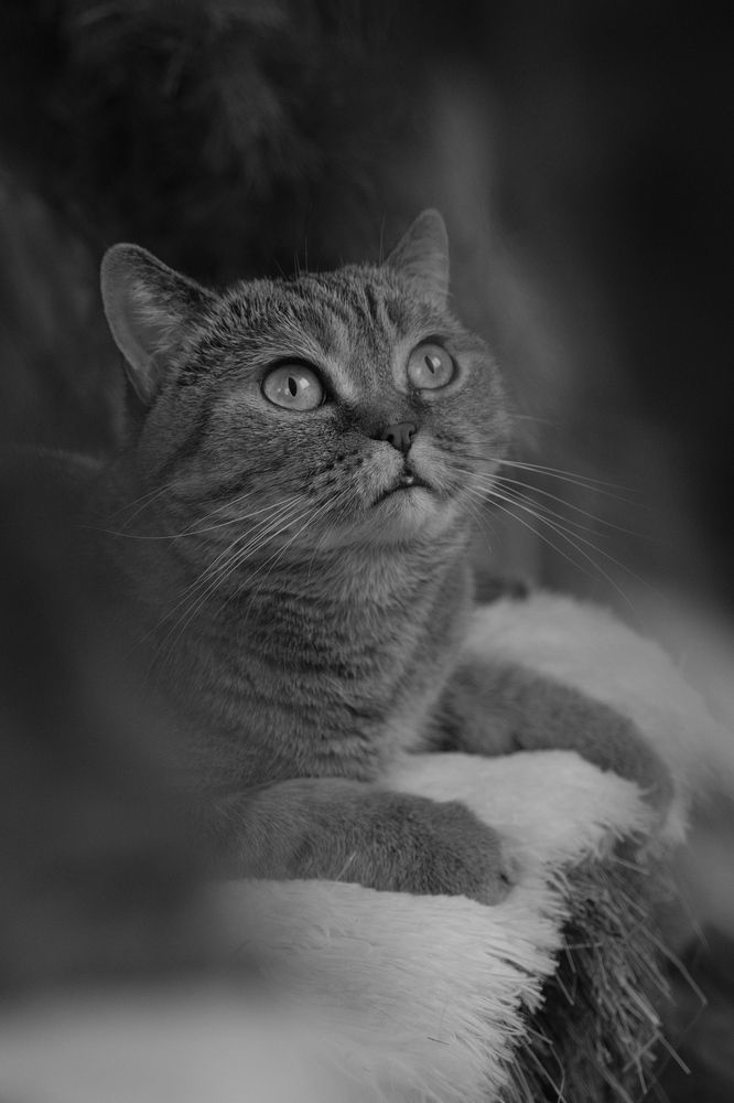 Photograph by Яна Истоцкая