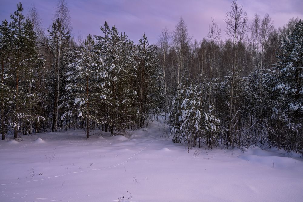 Photograph by Alexander Semenko