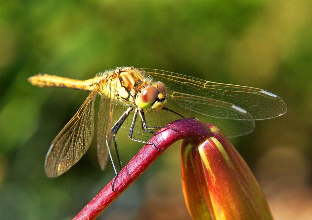 Photograph by Алексей Хазов