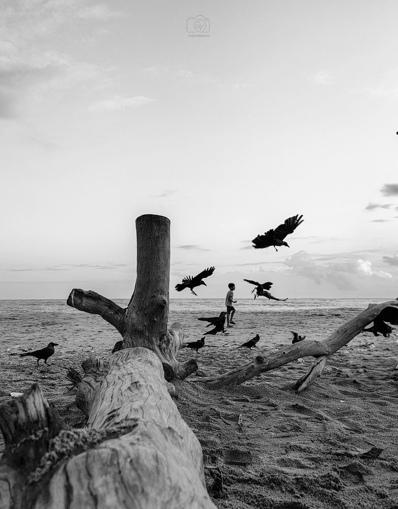 Photograph by GOVIND VISWANATH