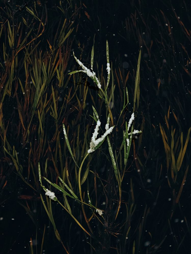 Photograph by Сергей Данилов