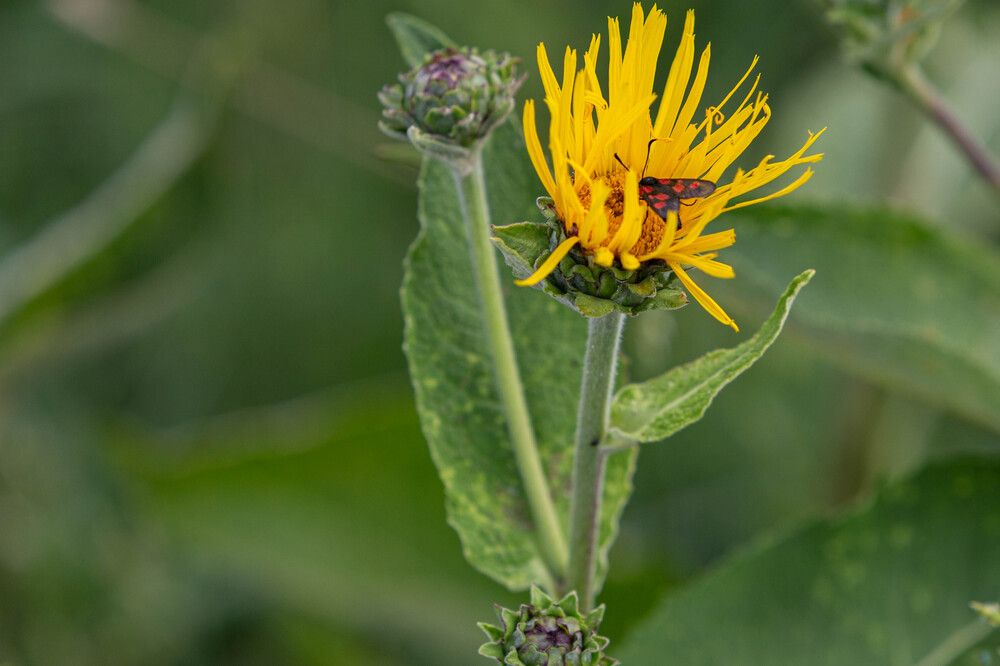 Photograph by Виталий Са