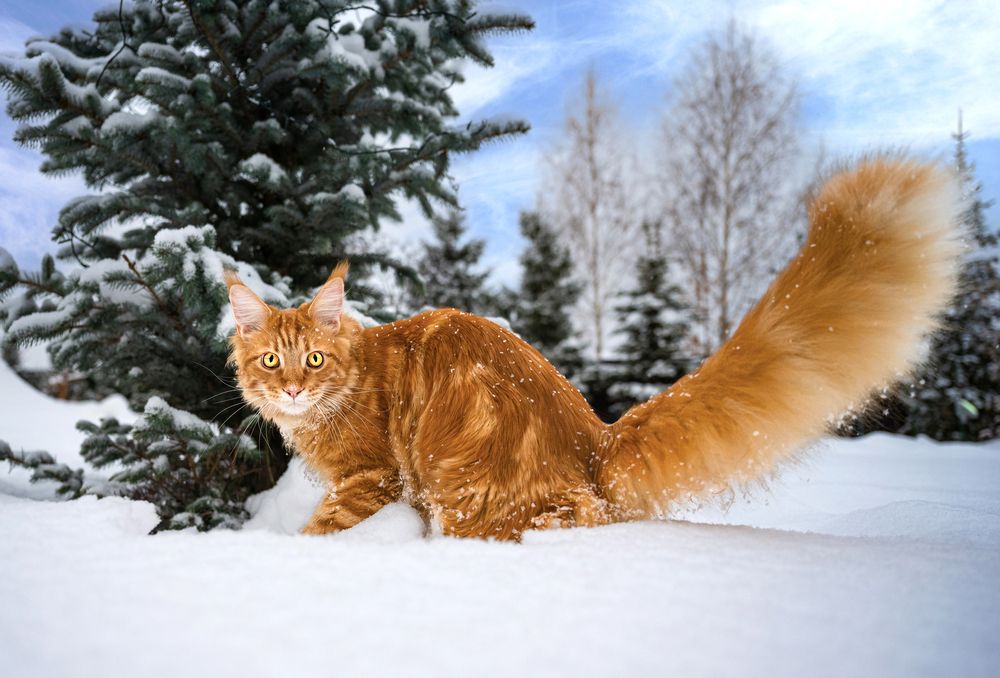 Photograph by NADEZHDA PELYMSKAIA