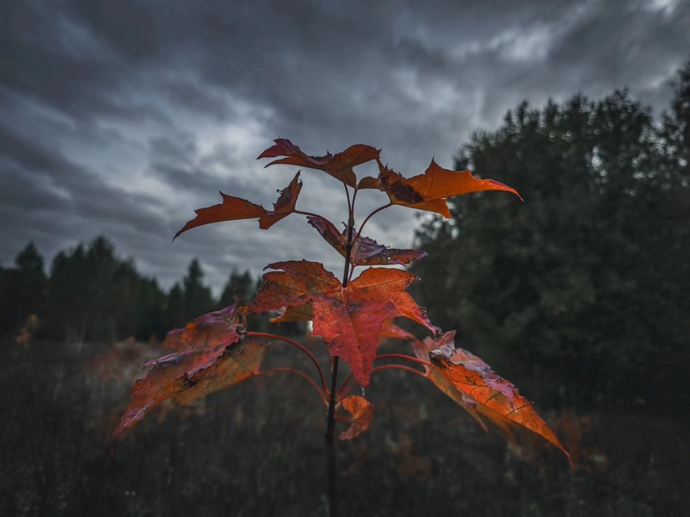 Photograph by Кирилл Сидоров