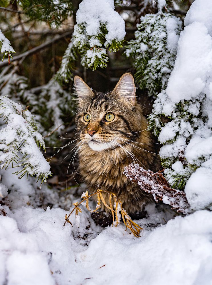 Photograph by NADEZHDA PELYMSKAIA