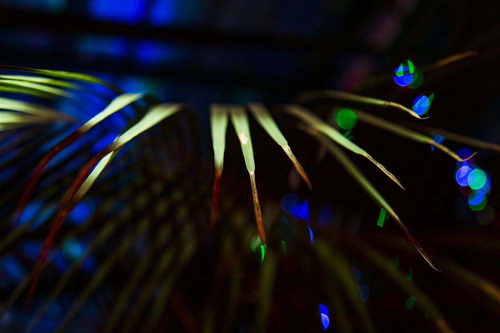 Фотография автора Полина Жаринова