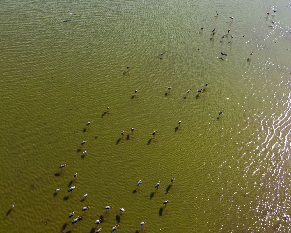 Photograph by Kuldeep Lodhi