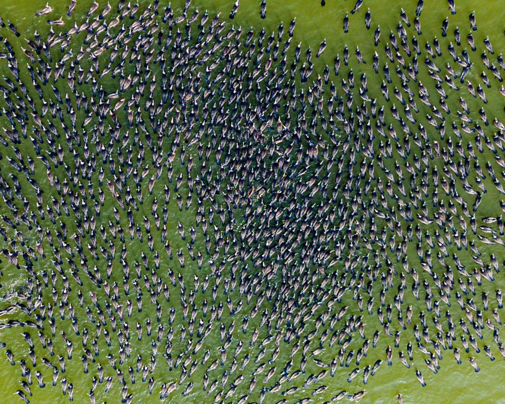 Photograph by Kuldeep Lodhi