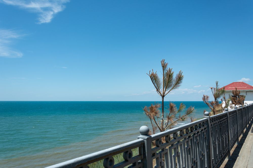 Photograph by Ольга Салтыкова