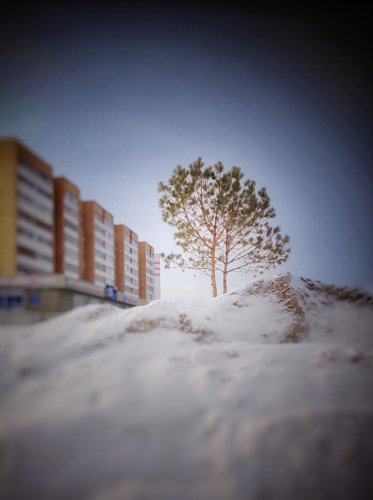 Photograph by Олега Тор