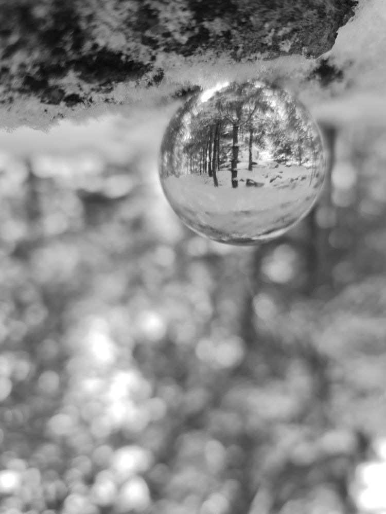 Photograph by Наталья Чурашова