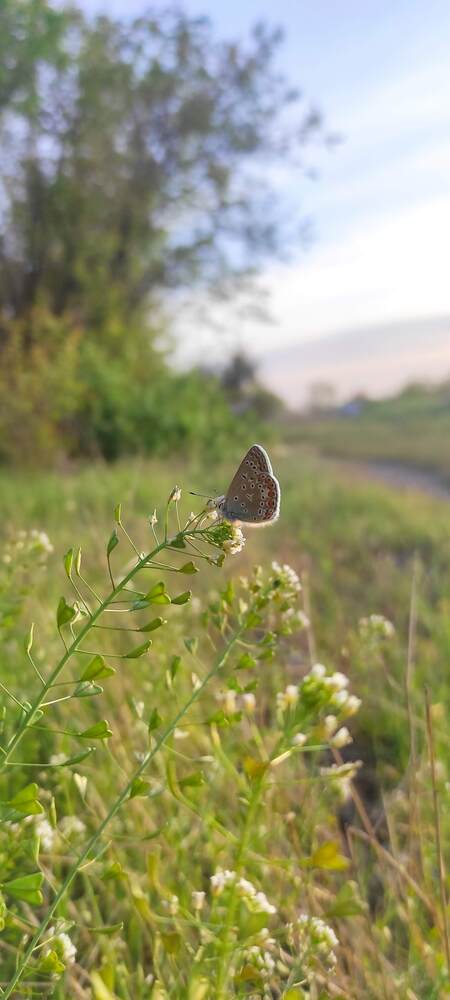 Photograph by Ирина Бочарова