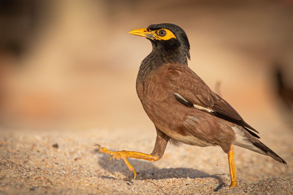 Photograph by Alexei Kriptozoy