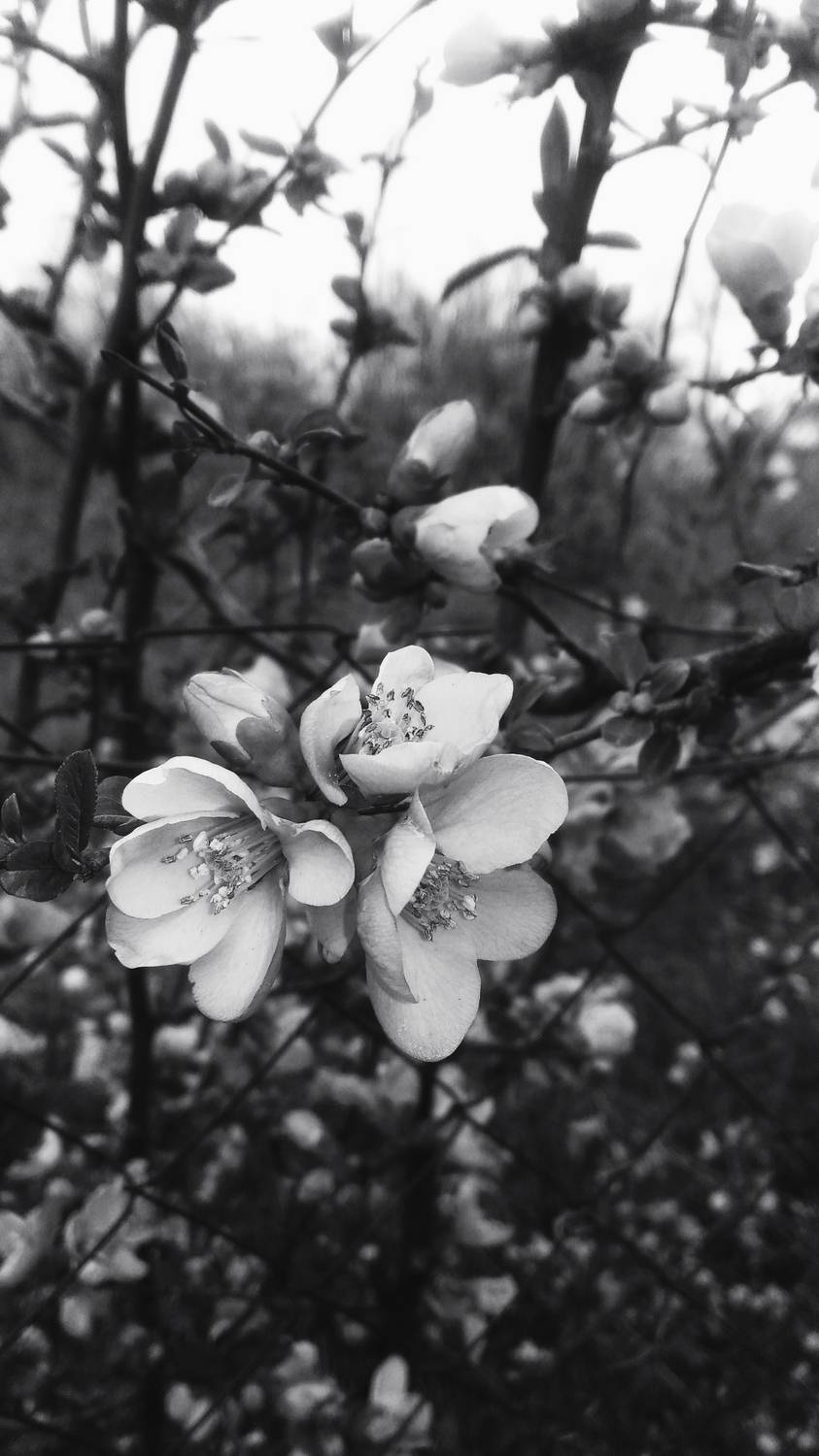Photo #11897227