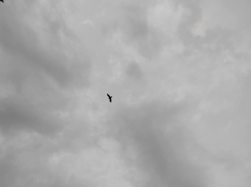 Photograph by Ирина Бочарова