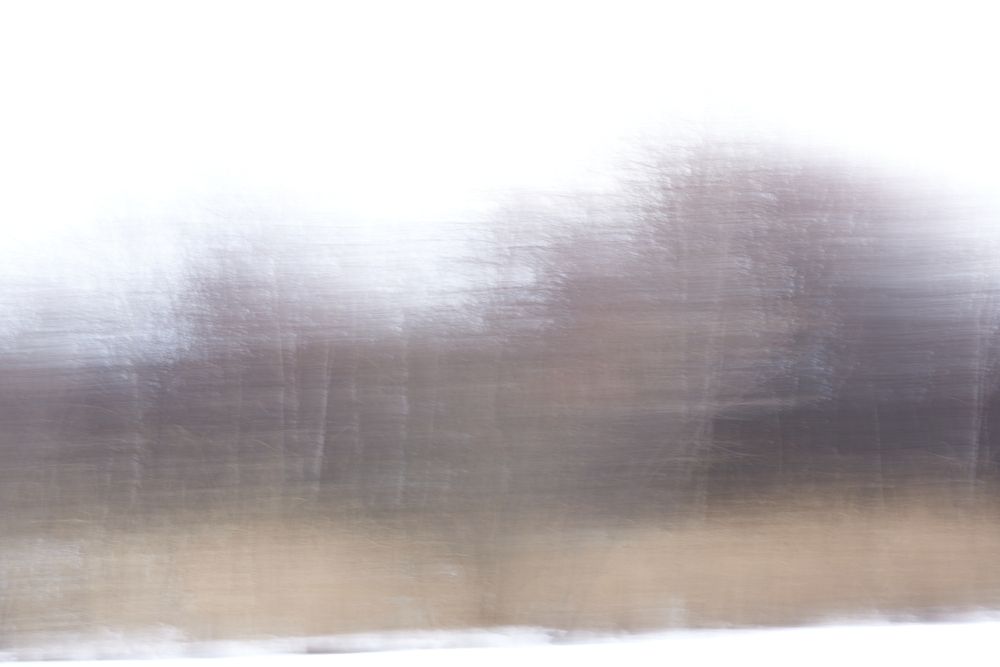 Photograph by Ирина Климова