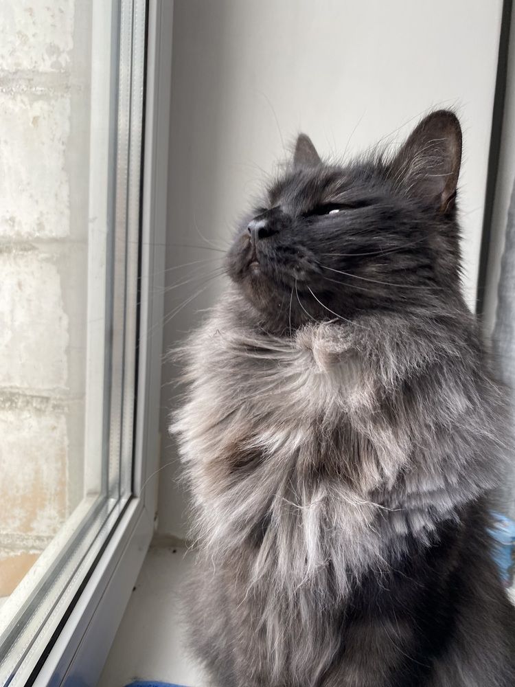 Жизнь прекрасна и удивительна