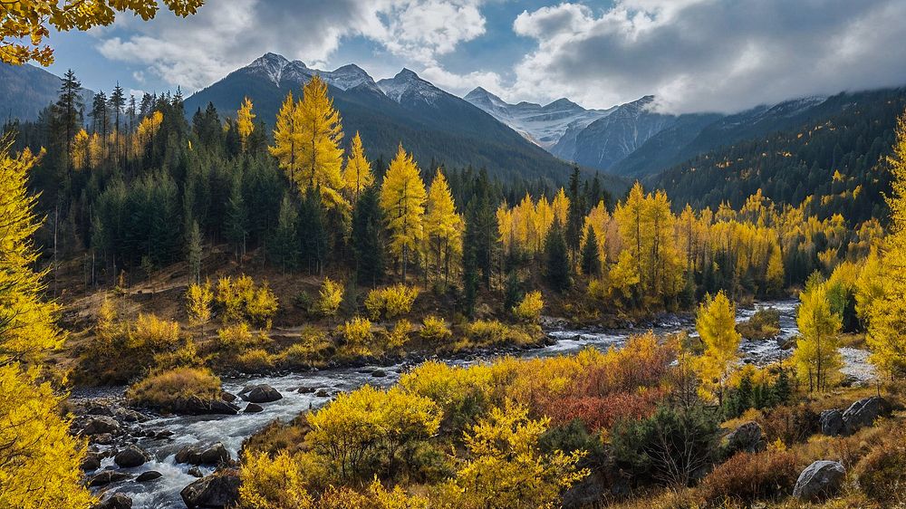 Фотография автора Александр Довганюк